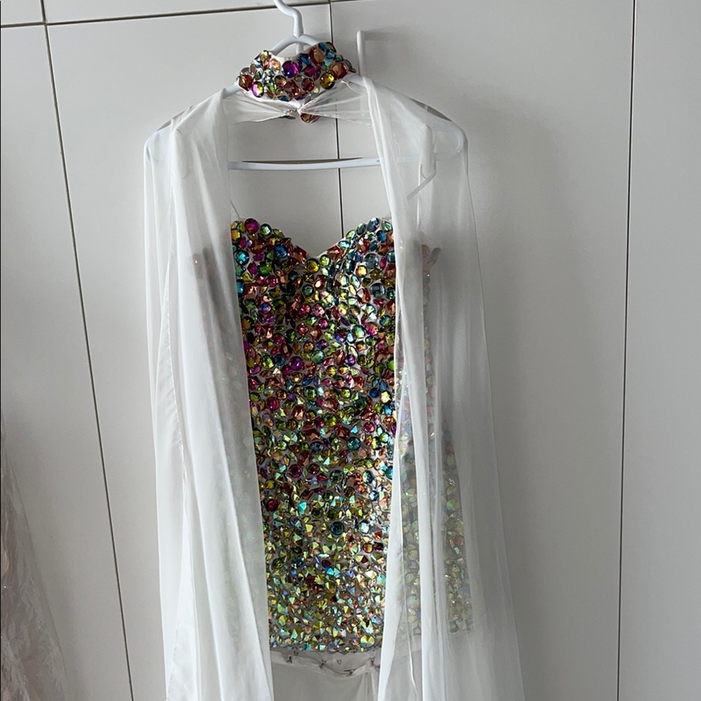 Alyce Paris Multicolor Beaded Dress